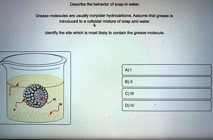 Describe the behavior of soap in water.
Grease molecules are usually nonpolar hydrocarbons. Assume that grease is introduced to a colloidal mixture of soap and water.
Identify the site which is most likely to contain the grease molecule.
A) I
B) II
C) III
D) IV