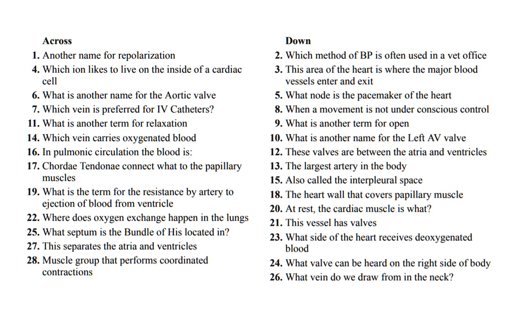 SOLVED: Across 1. Another name for repolarization 4. Which ion likes to ...