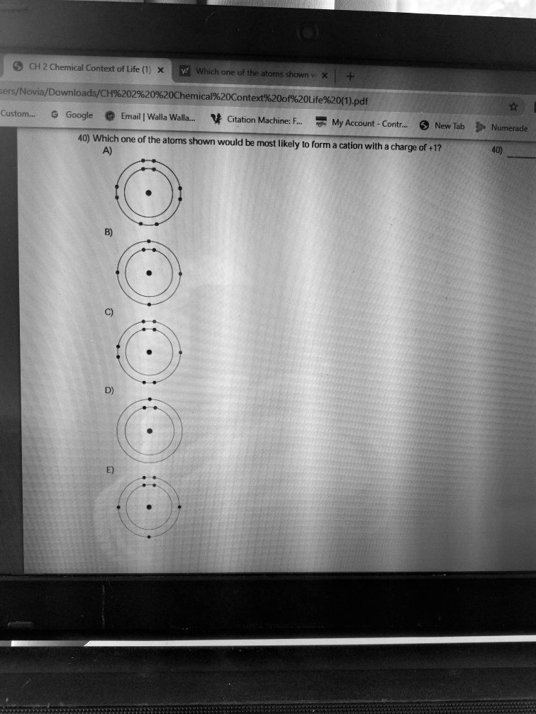 40) Which one of the atoms shown would be most likely to form a cation with a charge of +1?
A)
B)
C)
D)
E)