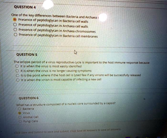 SOLVEDQUESTION 4 One of the key differences between Bacteria and