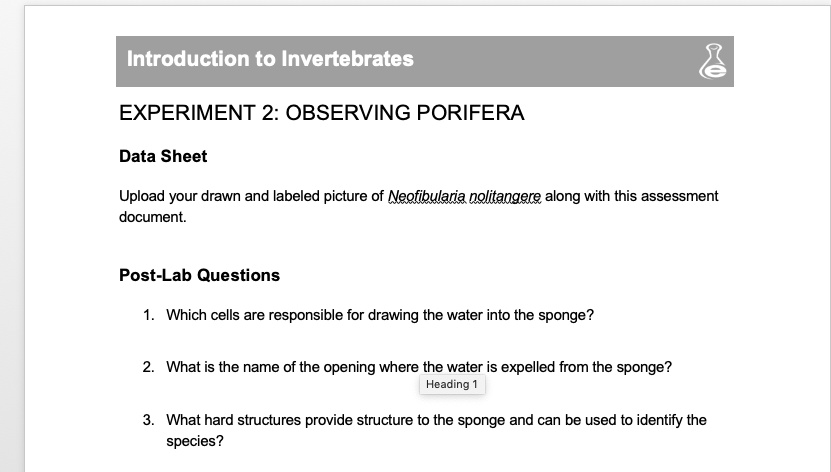 SOLVED: Introduction to Invertebrates EXPERIMENT 2: OBSERVING PORIFERA