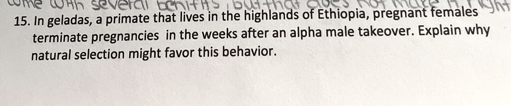 15. In geladas, a primate that lives in the highlands of Ethiopia, pregnant females terminate pregnancies in the weeks after an alpha male takeover. Explain why natural selection might favor this behavior.