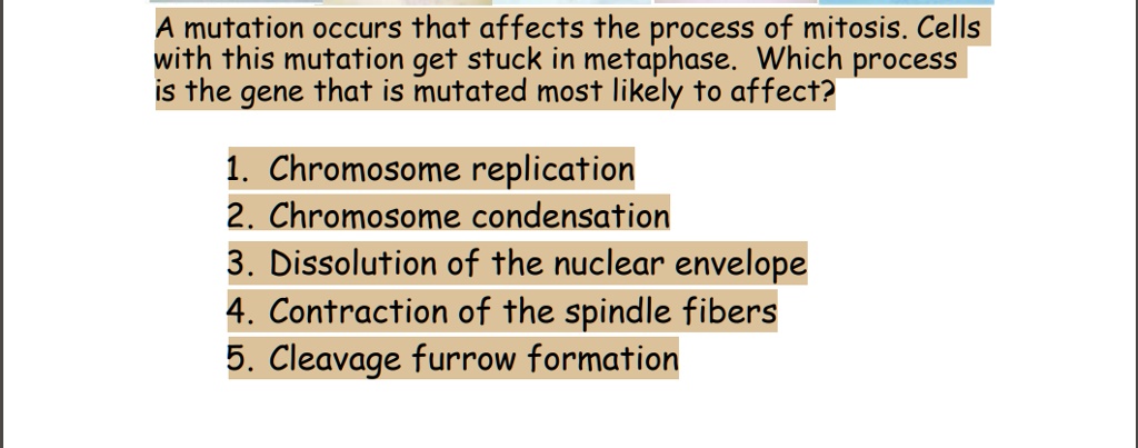A mutation occurs that affects the process of mitosis. Cells with this ...
