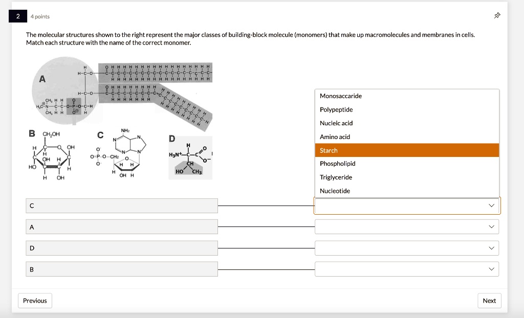 The molecular structures shown on the right represent the major classes