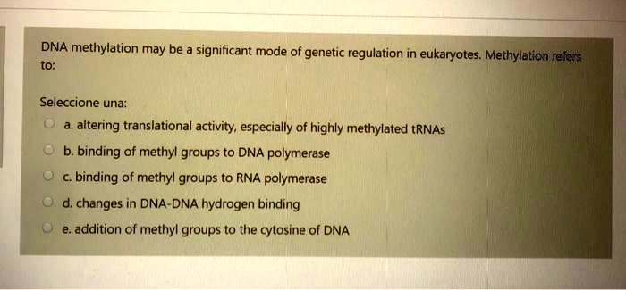DNA methylation may be a significant mode of genetic regulation in eukaryotes. Methylation refers to:

Seleccione una:
a. altering translational activity, especially of highly methylated tRNAs
b. binding of methyl groups to DNA polymerase
c. binding of methyl groups to RNA polymerase
d. changes in DNA-DNA hydrogen bonding
e. addition of methyl groups to the cytosine of DNA