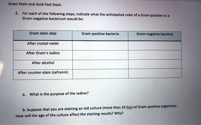 Gram Stain and Acid-Fast Stain. 2. For each of the following steps, indicate what the anticipated color of a Gram-positive or a Gram-negative bacterium would be: Gram stain step Gram-positive bacteria Gram-negative bacteria After crystal violet After Gram's iodine After alcohol After counter-stain (safranin) a. What is the purpose of the iodine? b. Suppose that you are staining an old culture (more than 24 hrs) of Gram-positive organisms. How will the age of the culture affect the staining results? Why?