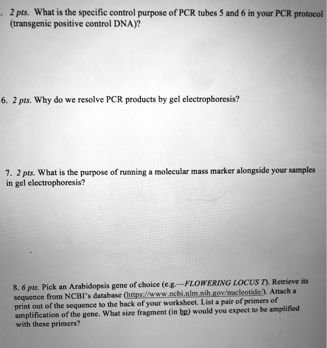 SOLVED: What is the specific control purpose of PCR tubes 5 and 6 in ...