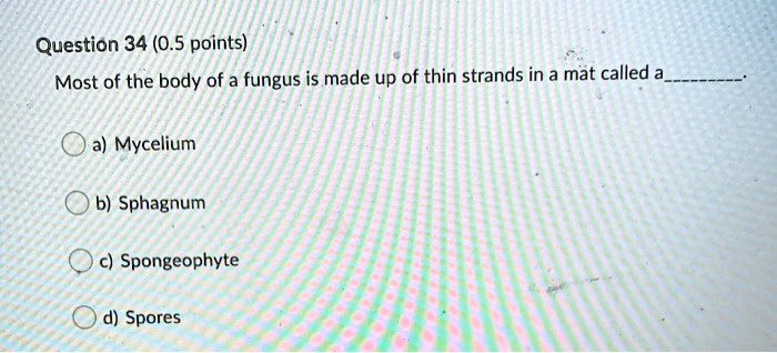 Most of the body of a fungus is made up of thin strands in a mat called a
a) Mycelium
b) Sphagnum
c) Spongeophyte
d) Spores