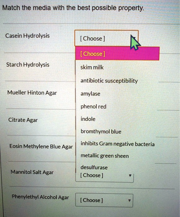 Match The Media With Their General Intended Purpose Or Category. SOLVED: Match the media with the best possible property: Casein