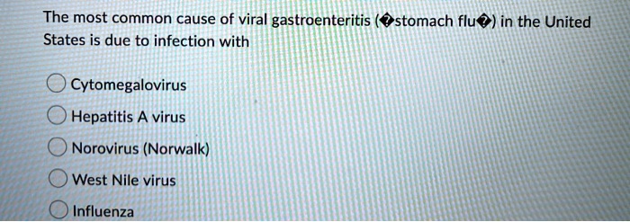 The most common cause of viral gastroenteritis (stomach flu) in the United States is due to infection with
Cytomegalovirus
Hepatitis A virus
Norovirus (Norwalk)
West Nile virus
Influenza