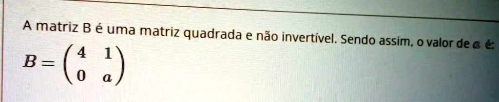 SOLVED: A Matriz B E Uma Matriz Quadrada E Nao Invertivel. Sendo Assim ...