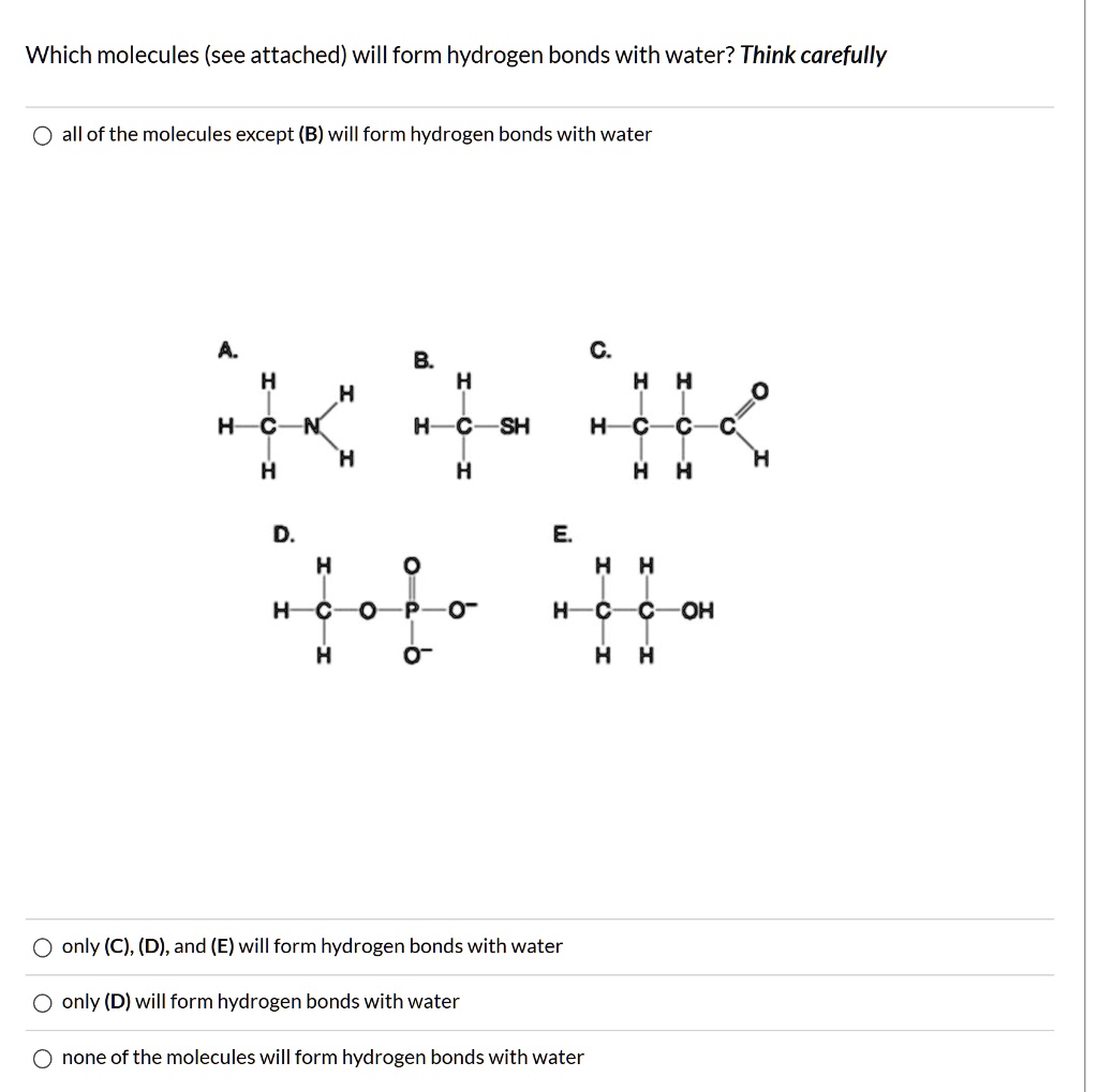 Which molecules (see attached) will form hydrogen bonds with water? Think carefully
all of the molecules except (B) will form hydrogen bonds with water
A. H H
H-C-N
H H
B. H
H-C-SH
H
C. H H O
H-C-C-C
H H H
D. H O
H-C-O-P-O-
H O-
E. H H
H-C-C-OH
H H
only (C), (D), and (E) will form hydrogen bonds with water
only (D) will form hydrogen bonds with water
none of the molecules will form hydrogen bonds with water