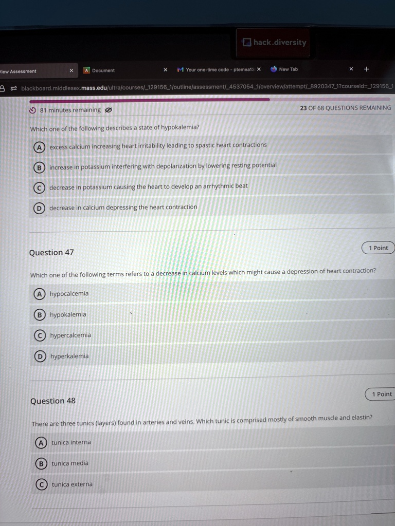 hackdiversity view assessment document your one time code ptemea13 new tab blackboardmiddlesexmasseduultracourses1291561outlineassessment45370541overviewattempt89203471courseid129156 75081