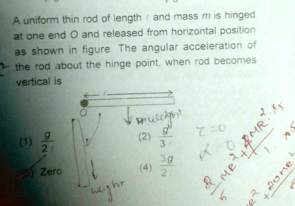 A Uniform Thin Rod Of Length L And Mass M Is Hinged At One End And ...