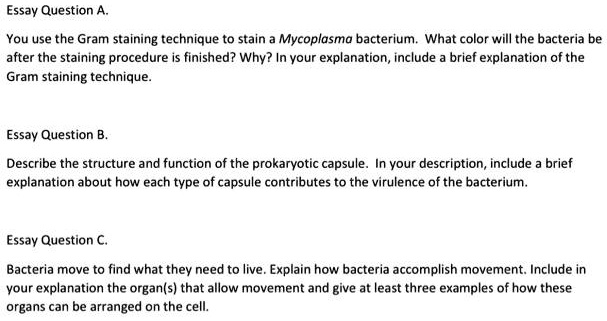 SOLVED:Essay Question You use the Gram staining technique to stain ...