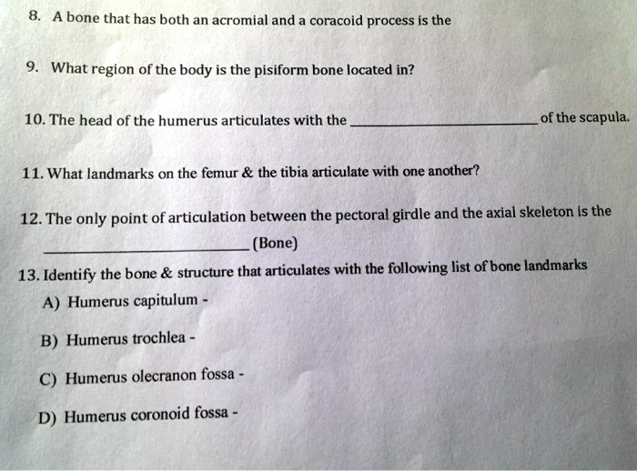 solved-a-bone-that-has-both-an-acromial-and-coracoid-process-is-the