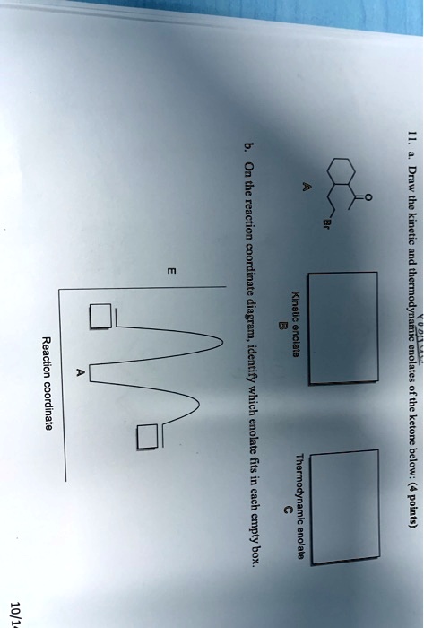 Solved On The Reaction Coordinate Diagram Identify Which Enolate Fits Each Empty Thermodynamic