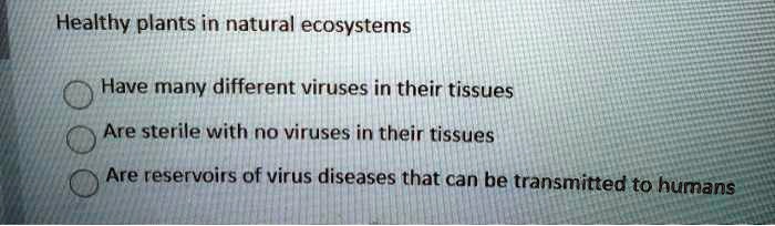 Healthy plants in natural ecosystems

Have many different viruses in their tissues
Are sterile with no viruses in their tissues
Are reservoirs of virus diseases that can be transmitted to humans