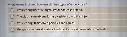 what feature is shared between all three types of endocytosis vesicles engulf entire organisms for defense or food the plasma membrane forms a vesicle around the object vesicles engulf disso 16925