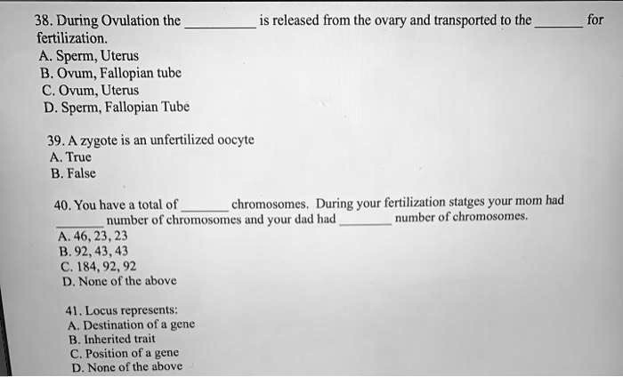 fertilization of ovum is occurred in fallopian tube true or false