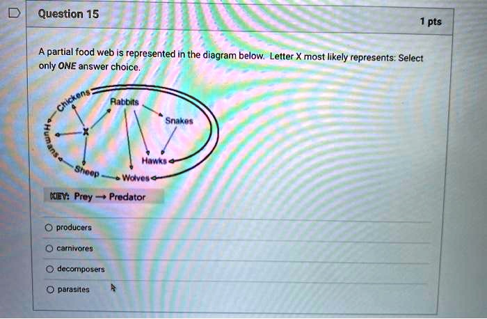 A partial food web is represented in the diagram below....