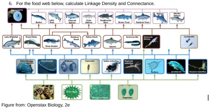 solved-for-the-food-web-below-calculate-linkage-density-and