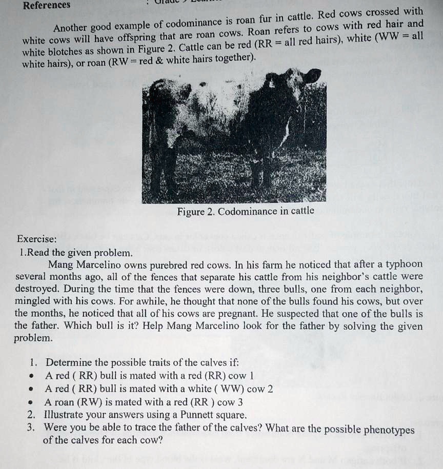 1 determine the possible traits of the calves if a red rr bull is mated ...