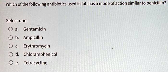 Which of the following antibiotics used in lab has a mode of action similar to penicillin?
Select one:
a. Gentamicin
b. Ampicillin
c. Erythromycin
d. Chloramphenicol
e. Tetracycline