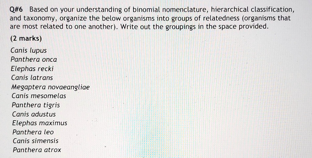 q6 based on your understanding of binomial nomenclature hierarchical ...