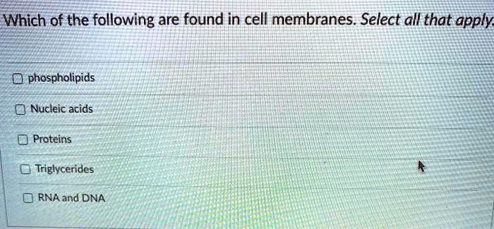 Which of the following are found in cell membranes. Select all that apply.

phospholipids
Nucleic acids
Proteins
Triglycerides
RNA and DNA