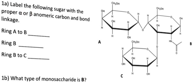 Solved 1a Label The Following Proper Or B Sugar With The Linkage Anomeric Carbon And Bond