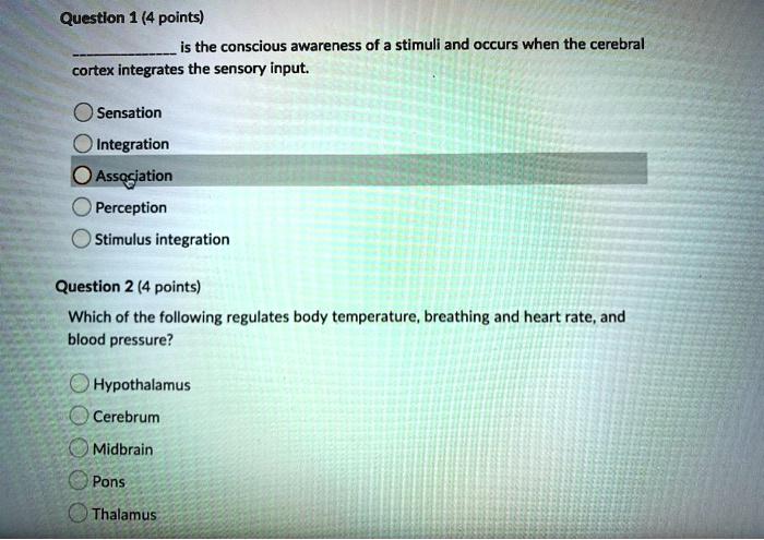 Question 1 (4 points)
 is the conscious awareness of a stimuli and occurs when the cerebral cortex integrates the sensory input.
Sensation
Integration
Association
Perception
Stimulus integration

Question 2 (4 points)
Which of the following regulates body temperature, breathing and heart rate, and blood pressure?
Hypothalamus
Cerebrum
Midbrain
Pons
Thalamus