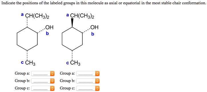 SOLVED: ' Indicate The Positions Of The Labeled Groups In This Molecule ...