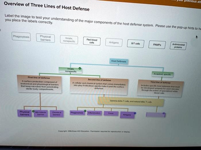 solved-previous-overview-of-three-lines-of-host-defense-label-the