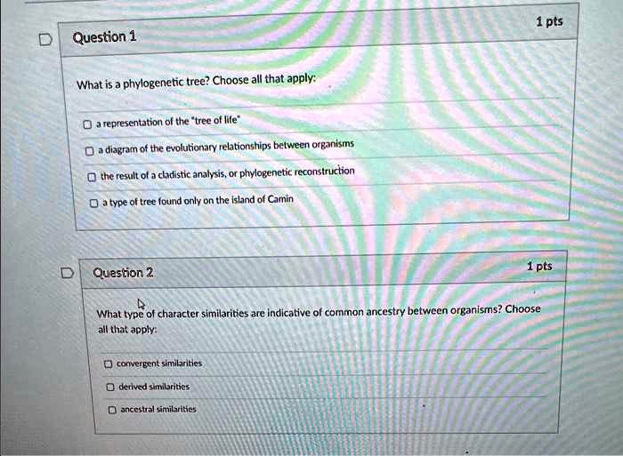 Question 1
What is a phylogenetic tree? Choose all that apply:
a representation of the "tree of life"
a diagram of the evolutionary relationships between organisms
the result of a cladistic analysis, or phylogenetic reconstruction
a type of tree found only on the island of Camin
Question 2
What type of character similarities are indicative of common ancestry between organisms? Choose all that apply:
convergent similarities
derived similarities
ancestral similarities