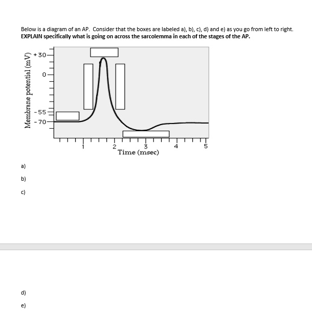 d) e) a) b) c) Below is a diagram of an AP. Consider that the boxes are ...
