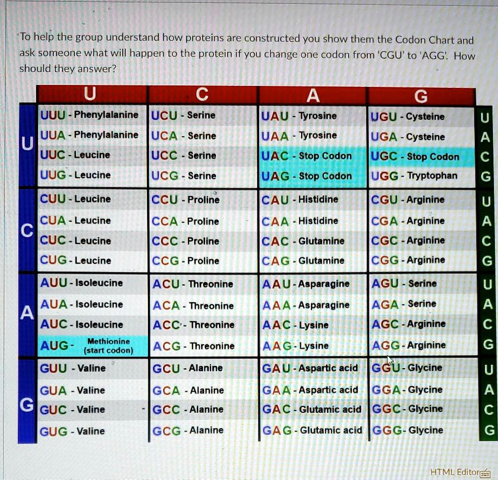 SOLVED To help the group understand how proteins are constructed you