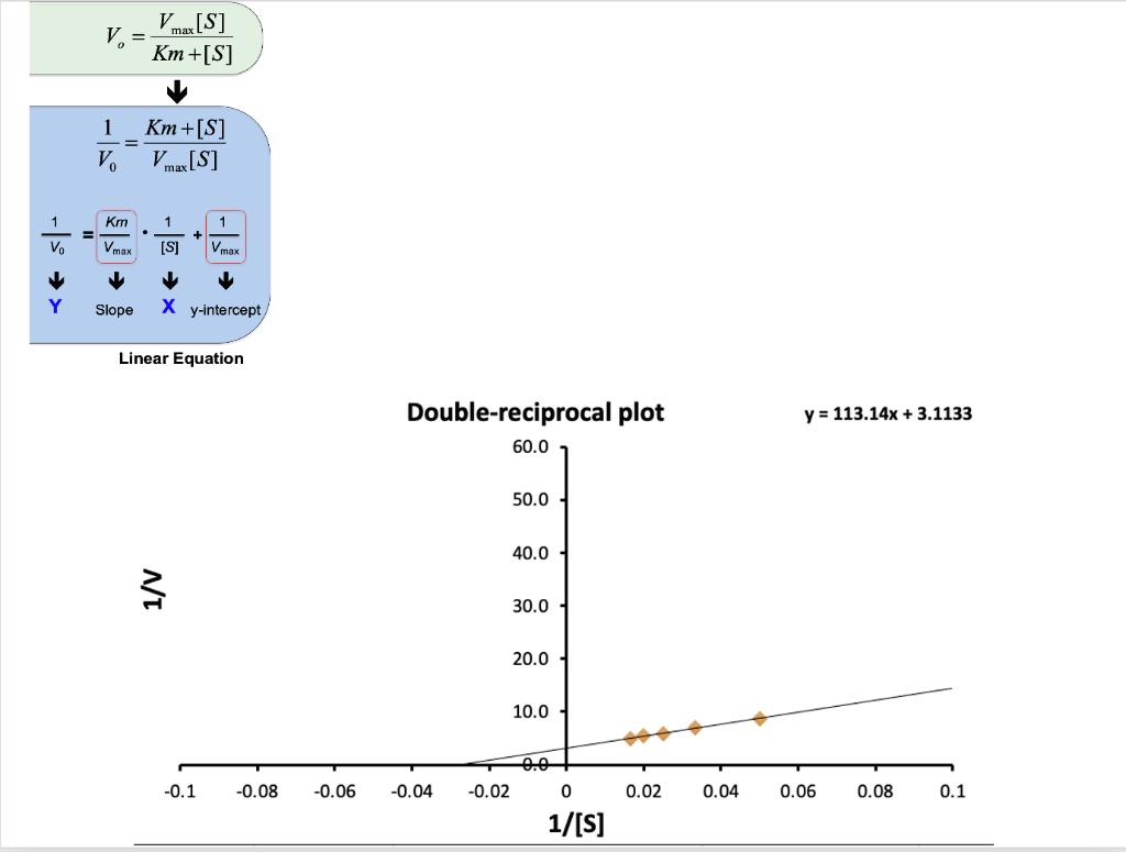 SOLVED: Vmax [S] Km + [S] Km + [S] Tmax [S] Km Vmax Vmax Slope Y ...