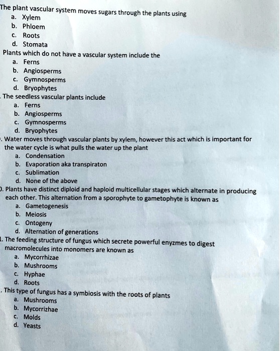 SOLVED The plant vascular system moves sugars through the plants using