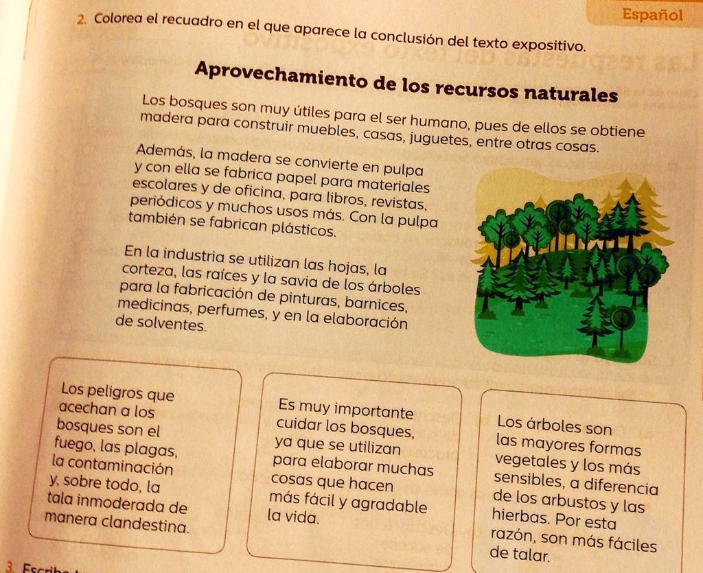 SOLVED: 2. Colorea el recuadro en el que aparece la conclusión del