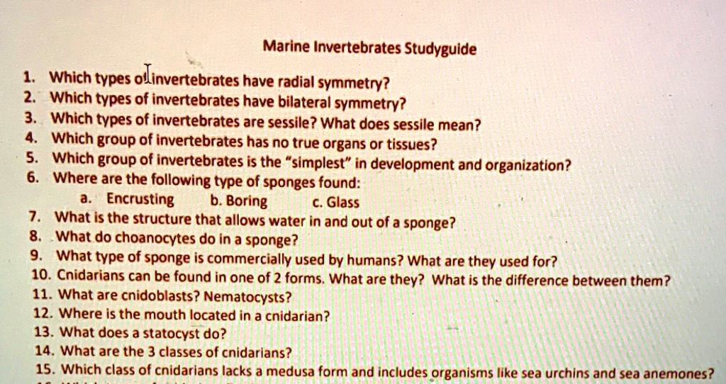 SOLVED Marine Invertebrates Study Guide Which types of invertebrates