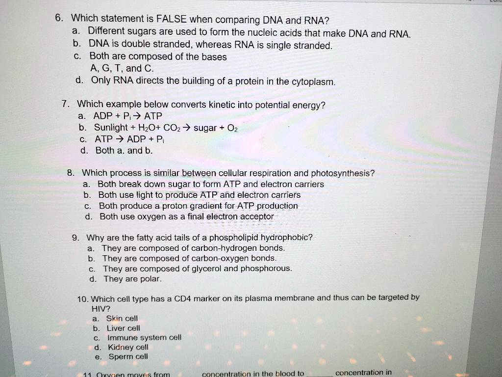 SOLVED Which statement is FALSE when comparing DNA and RNA? Different