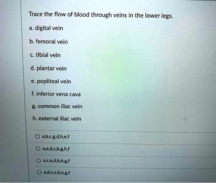 SOLVED: Trace the flow of blood through veins in the lower legs: a ...