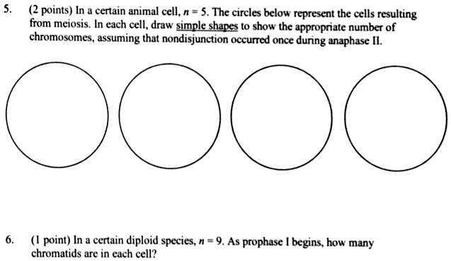 SOLVED: In a certain animal cell, n = 5. The circles below represent ...