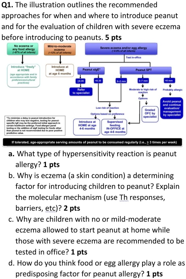 SOLVED The illustration outlines the approaches for when
