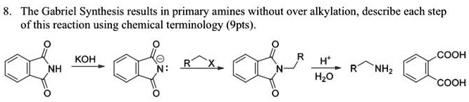 SOLVED:The Gabriel Synthesis results in primary amines without over ...