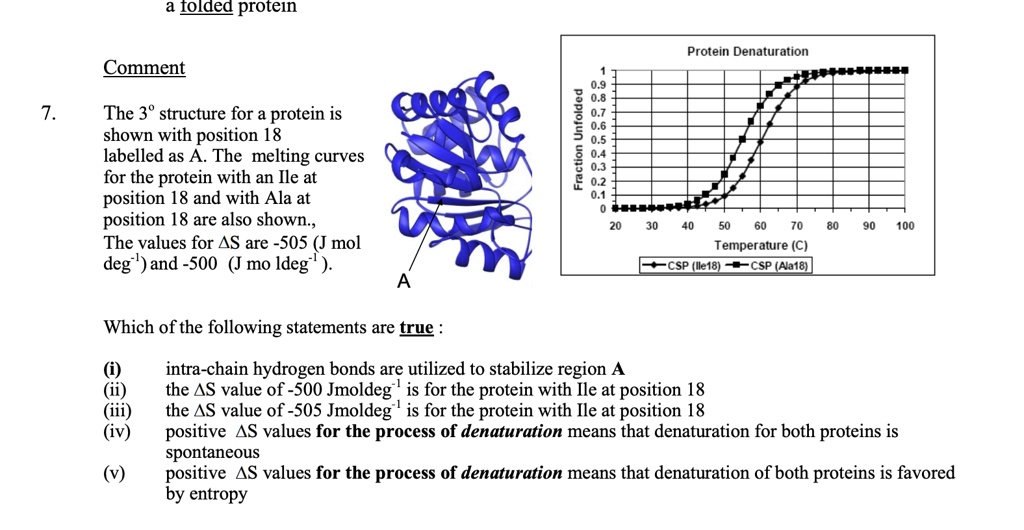 SOLVED: Text: A folded protein Protein Denaturation Comment The 3D ...