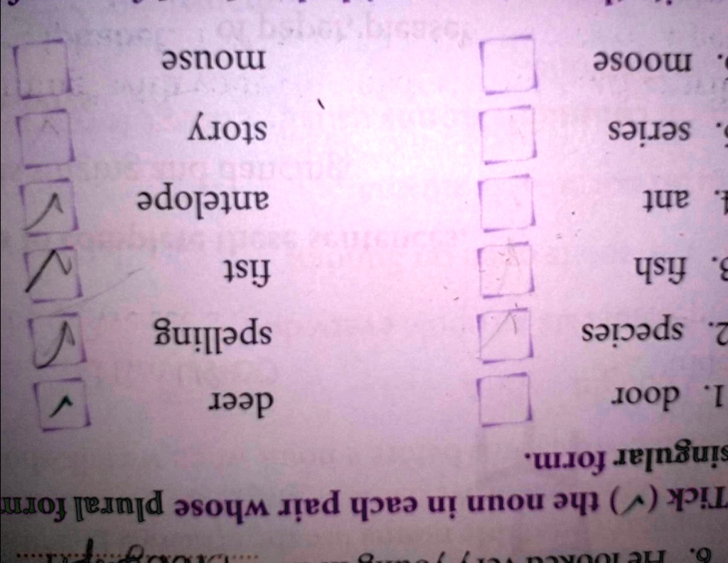 two nouns that have the same singulars and plural from 18427