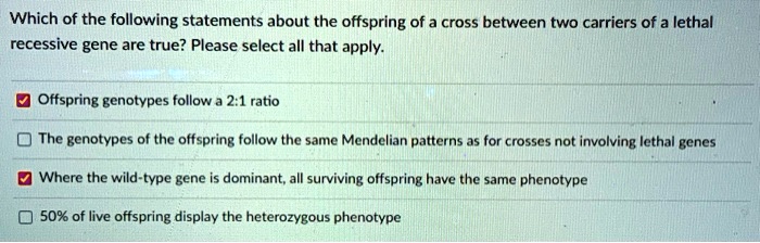 Which of the following statements about the offspring of a cross between two carriers of a lethal recessive gene are true? Please select all that apply.

Offspring genotypes follow a 2:1 ratio
The genotypes of the offspring follow the same Mendelian patterns as for crosses not involving lethal genes
Where the wild-type gene is dominant, all surviving offspring have the same phenotype
50% of live offspring display the heterozygous phenotype