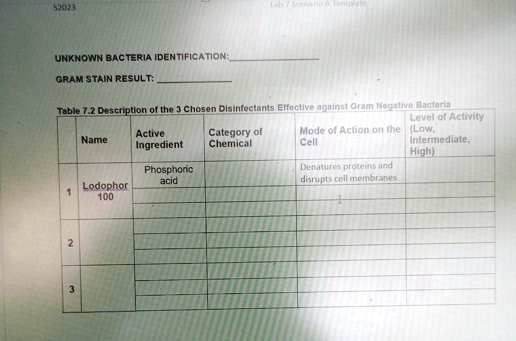 SOLVED Texts S2023 Lab 7 Scenario A Template UNKNOWN BACTERIA